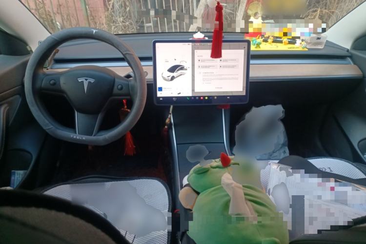 Used Tesla Model 3 2020 Revised Version Standard Range Rear-Wheel Drive – Upgraded Edition