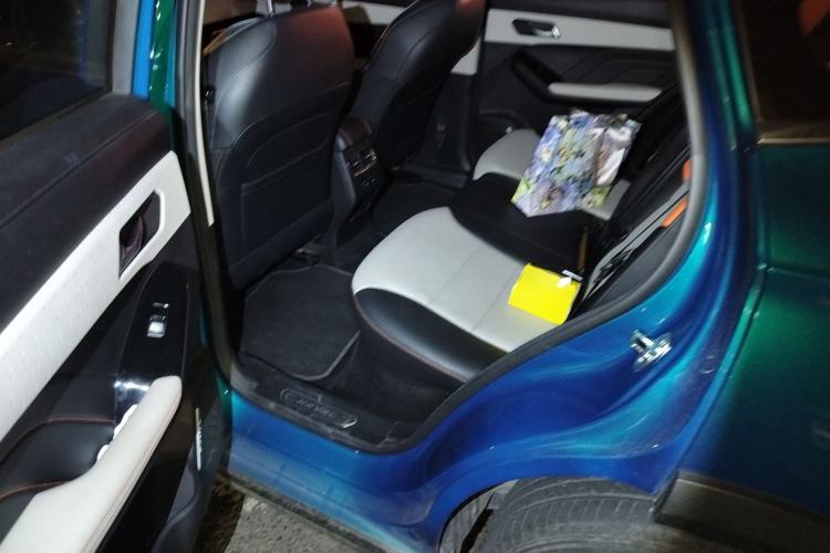 Used Haval LHERY 2021 High-Performance Version 1.5T Golden Rabbit