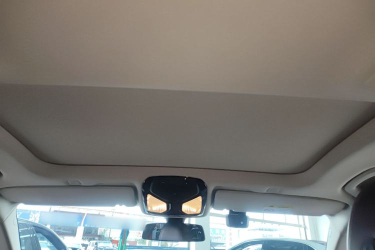 Used BMW 5 Series New Energy 2020 530Le Luxury Package Headliner