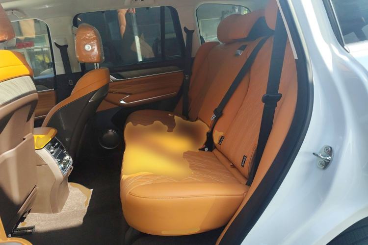 Used Tank 500 New Energy 2025 Hi4-Z Left Rear Seat