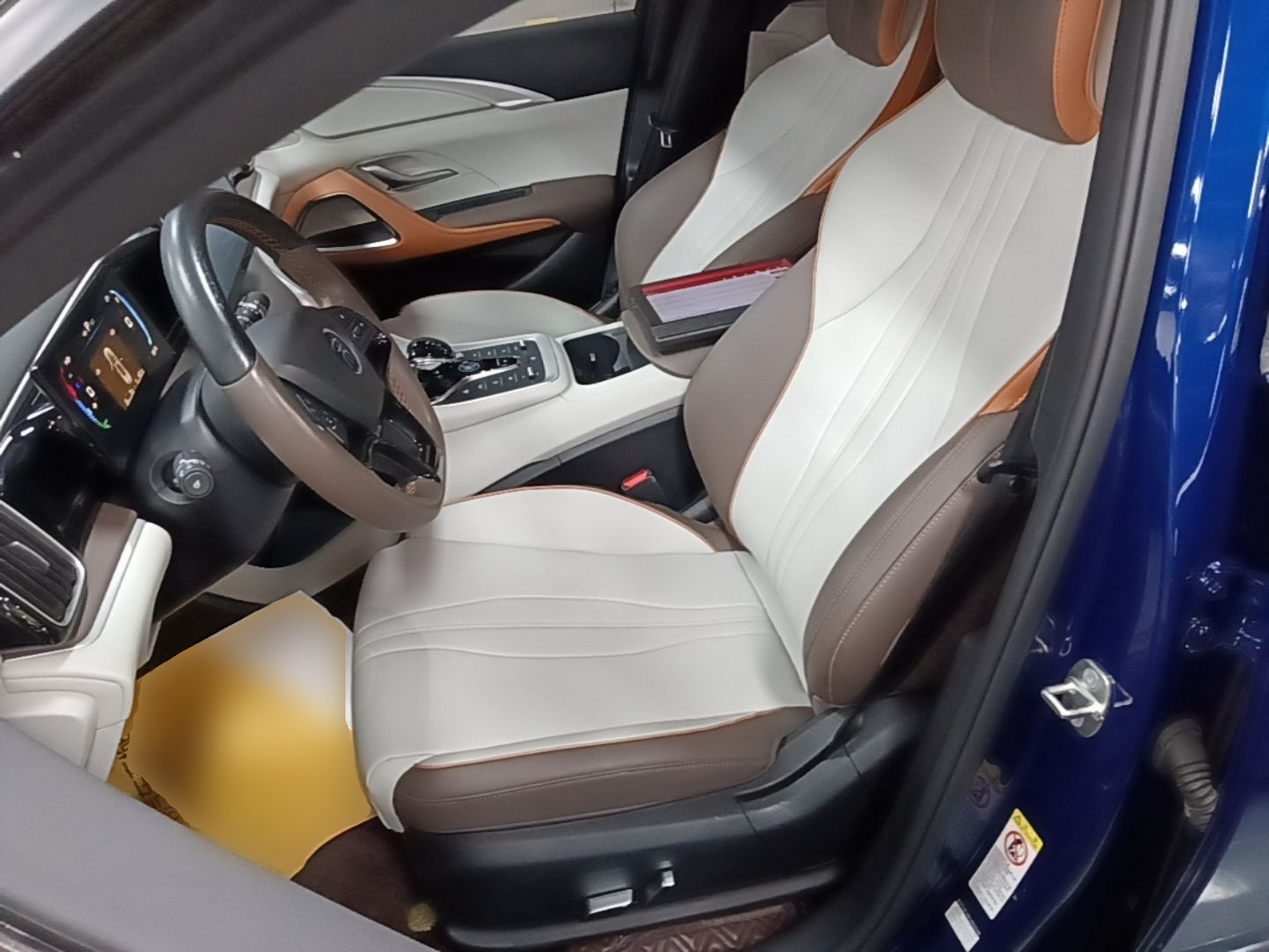 Interior delantero