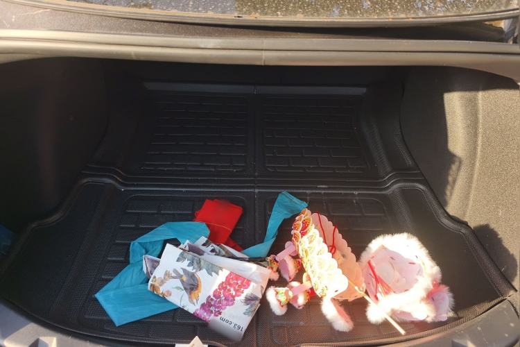 Used Tesla Model 3 2020 Standard Range Rear-Wheel Drive Upgraded Version