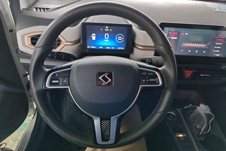 Used SOL E10X 2022 Flower Fairy Design Dandelion