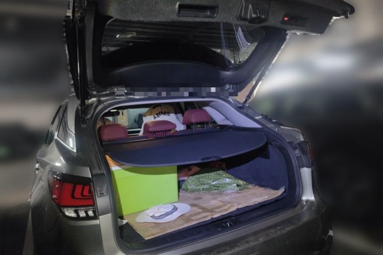 Used Lexus RX 2020 300 Two-Wheel Drive Elite Edition China VI Standard Trunk