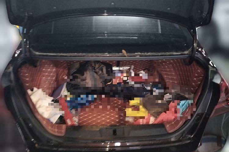 Used Geely Auto Emgrand New Energy 2018 EV450 Elite Model
