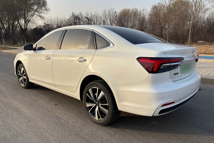 Used Rising ER6 2021 New Dynamic Edition 520km Smart Leading Version