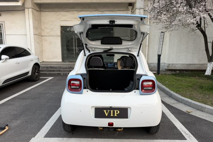 Used ORA Black Cat 2021 301 km Basic Version
