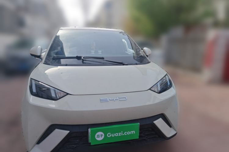 Used BYD Seagull 2023 Flying Edition
