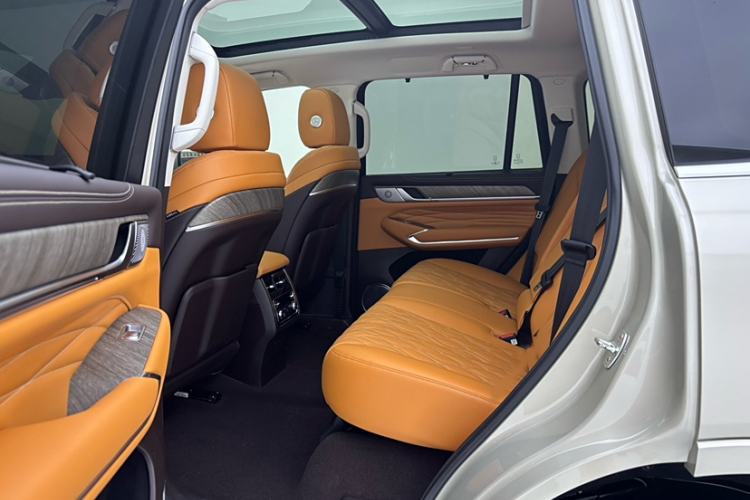 Used Tank 500 New Energy 2025 Hi4-Z
