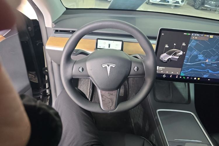 Used Tesla Model Y 2021 Standard Range Rear-Wheel Drive Version
