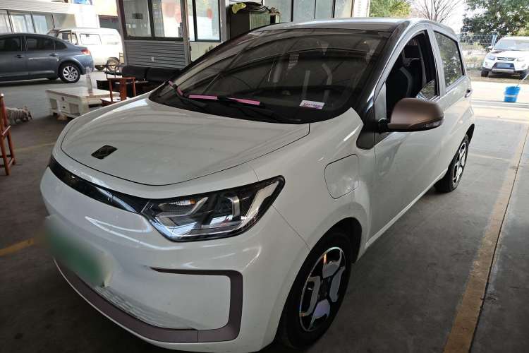 Used SOL E10X 2022 Flower Fairy Design Four-Leaf Clover