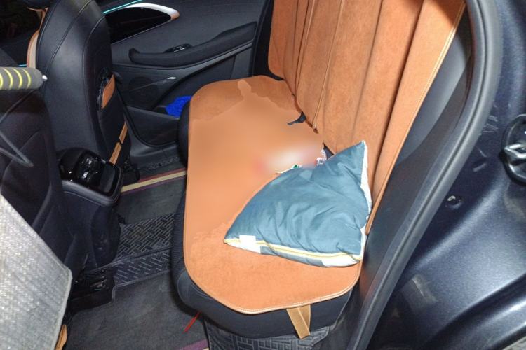 Used EXEED Lingyun 2024 300T Two-Wheel Drive Starlight Edition
