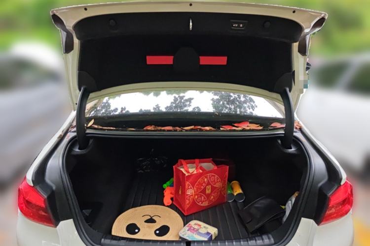 Used BMW 5 Series 2019 Restyled 530Li Luxury Edition M Sport Package