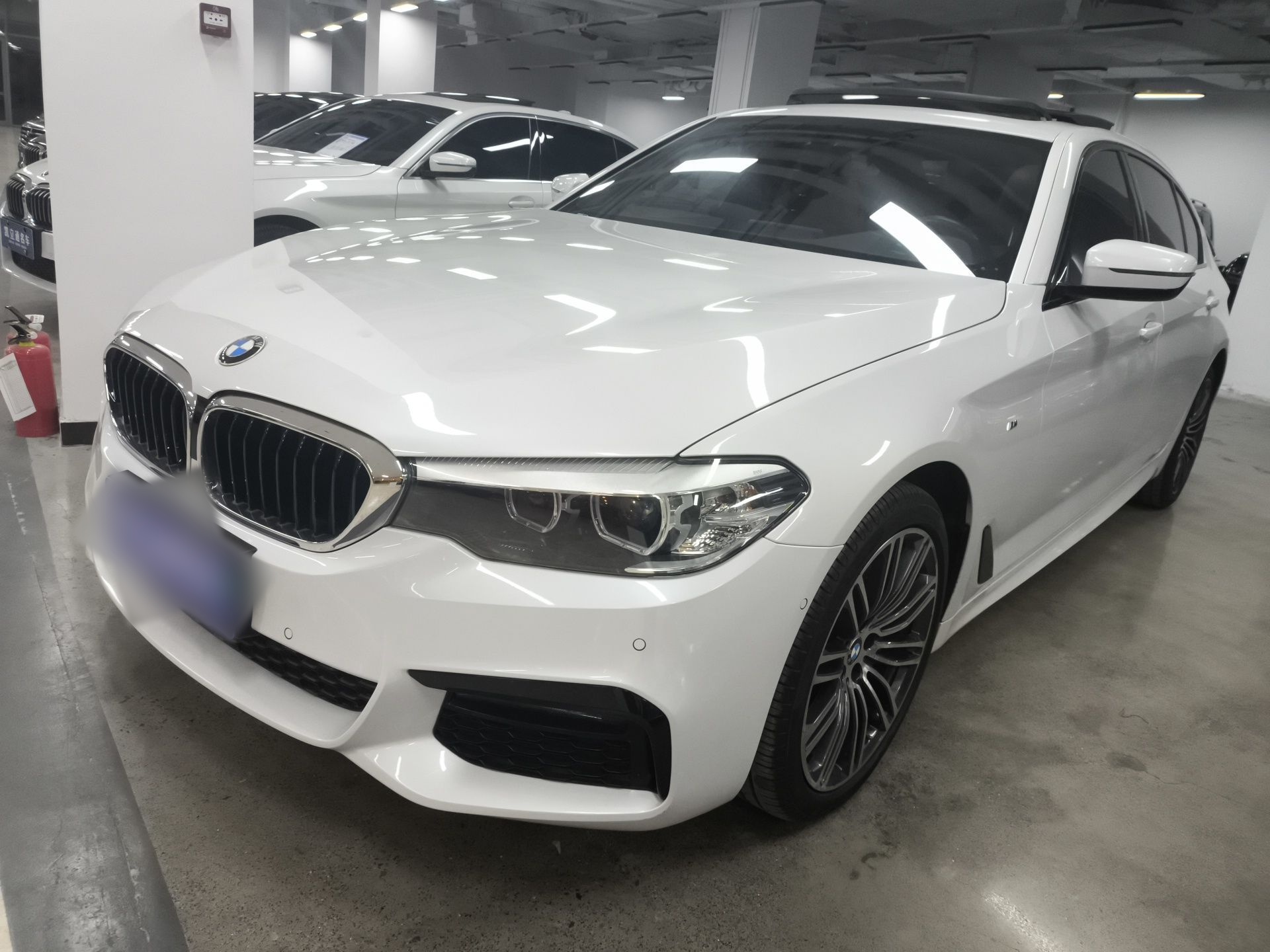 Parte inferior delantera