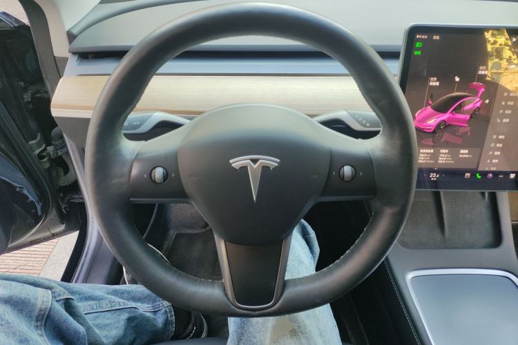 Used Tesla Model 3 2022 Rear-Wheel-Drive Version