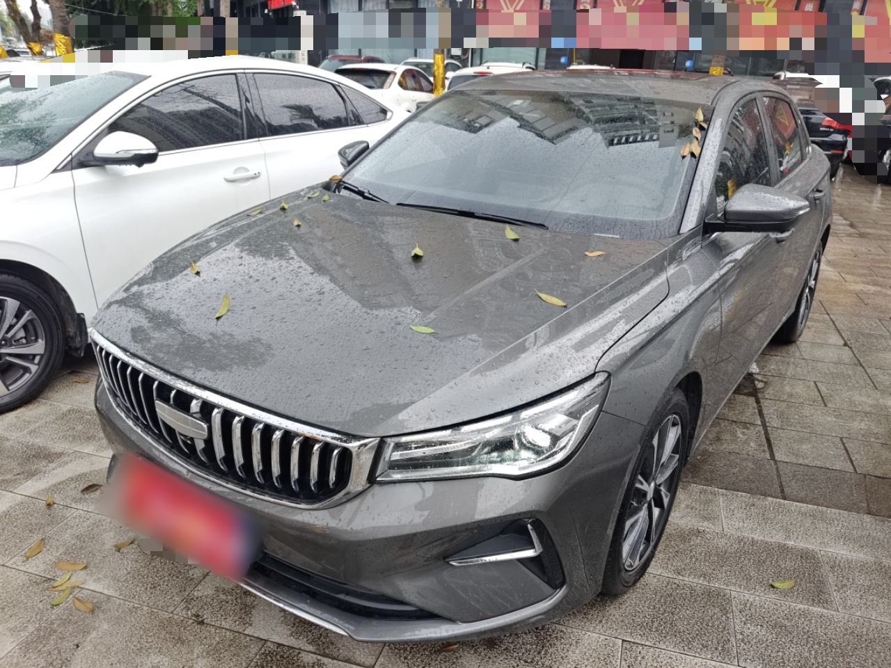 Parte inferior delantera