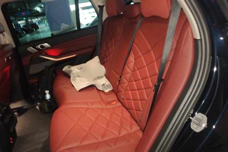 Used BMW X5 2023 xDrive 30Li Luxury M Sport Package Left Rear Seat