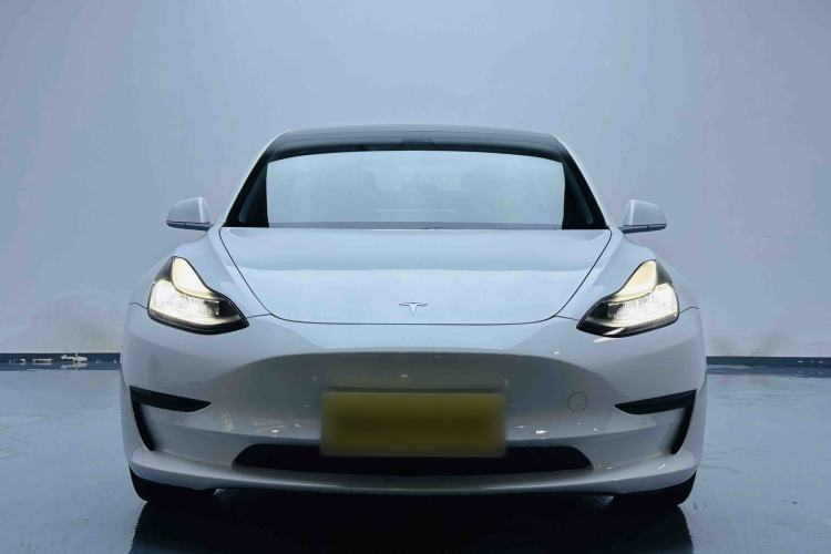 Used Tesla Model 3 2019 Standard Range Rear-Drive Upgraded Version