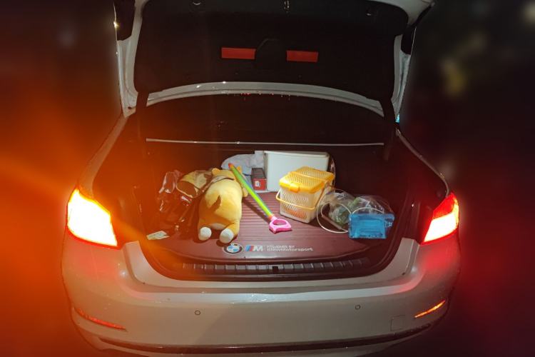 Used BMW 5 Series New Energy 2018 530Le Luxury Package Trunk