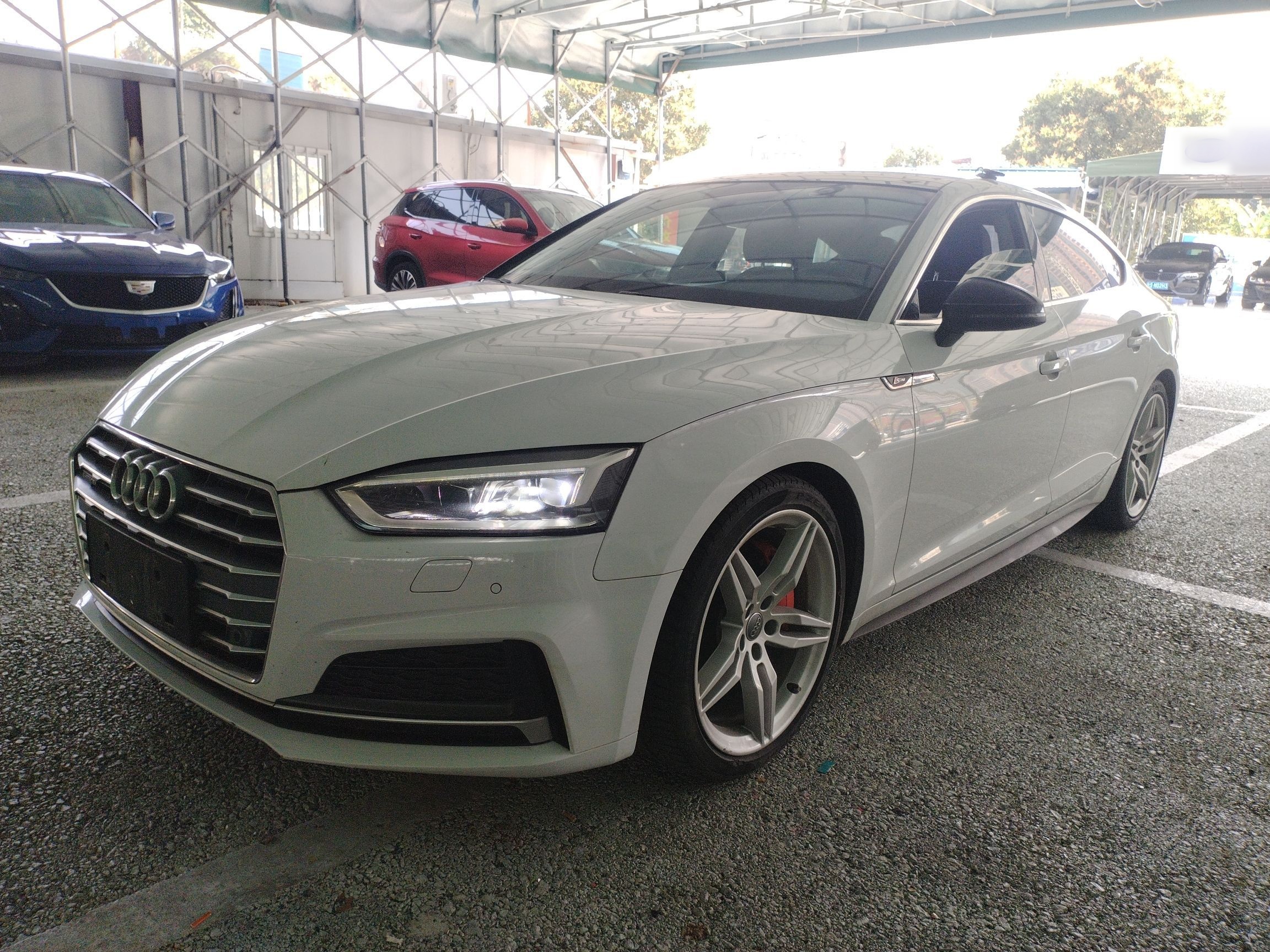 تحت مقدمة السيارة