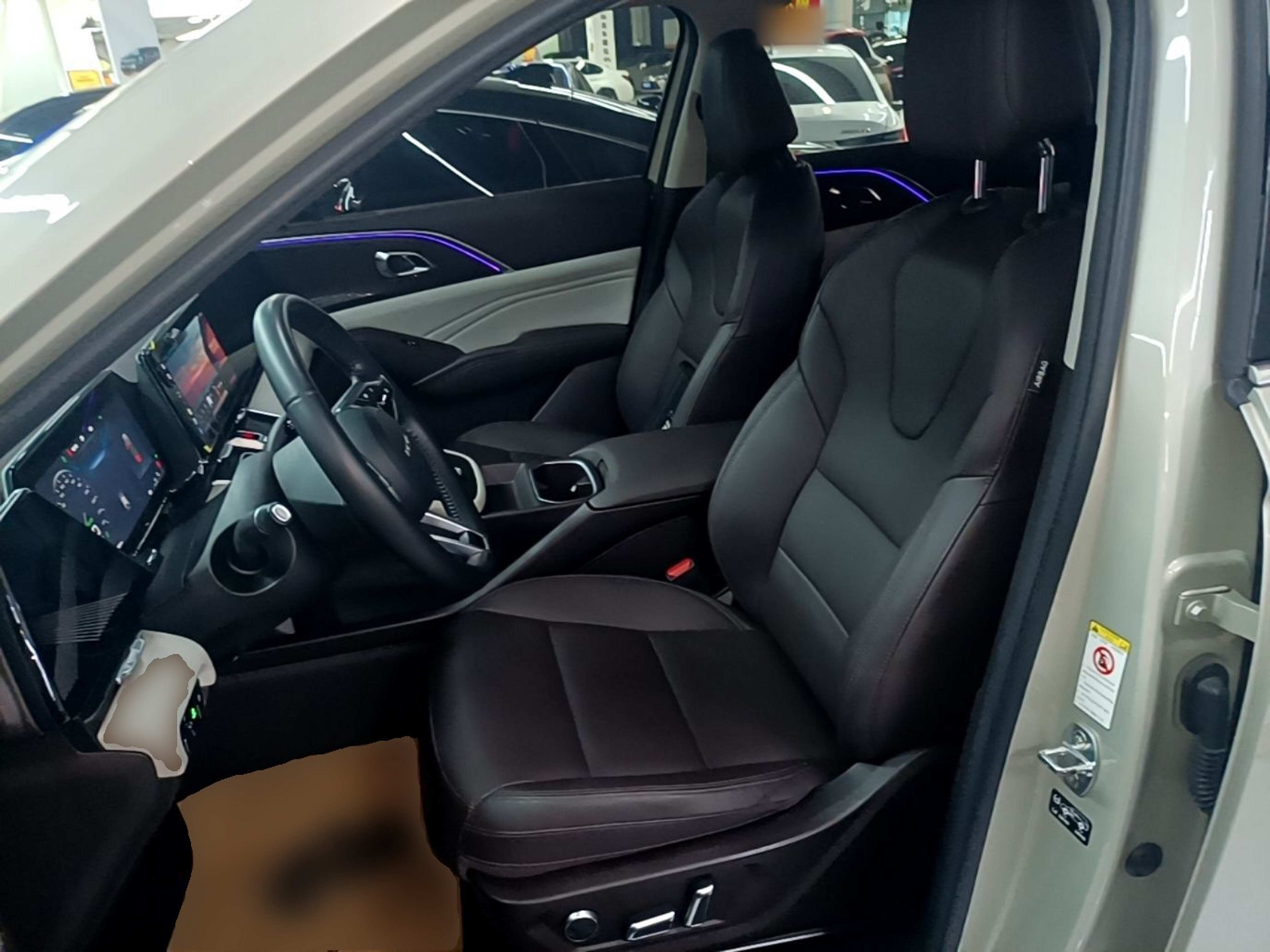 Interior delantero