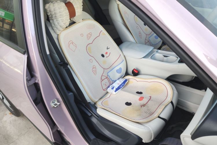 Used Geely Galaxy Geome 2025 310km Dream Edition
