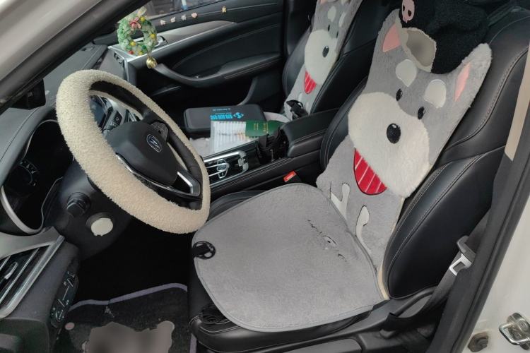 Used CHANGAN Eado New Energy 2019 EV460 Smart Edition Left Front Seat