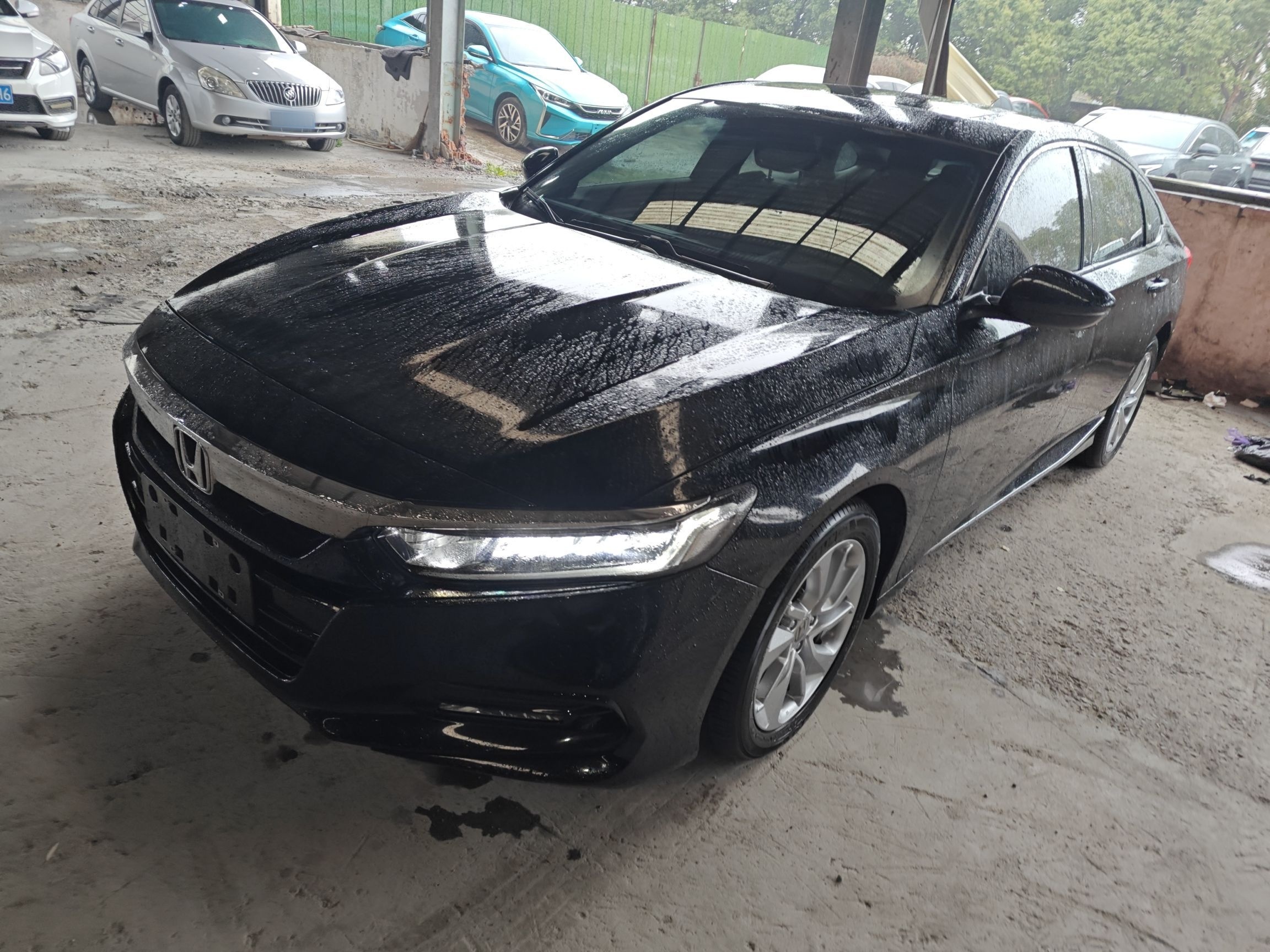 Parte inferior delantera