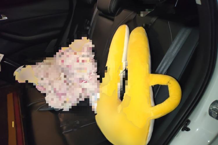 Used GAC Trumpchi GS4 2022 270T Automatic Smart Drive Technology Edition Left Rear Seat