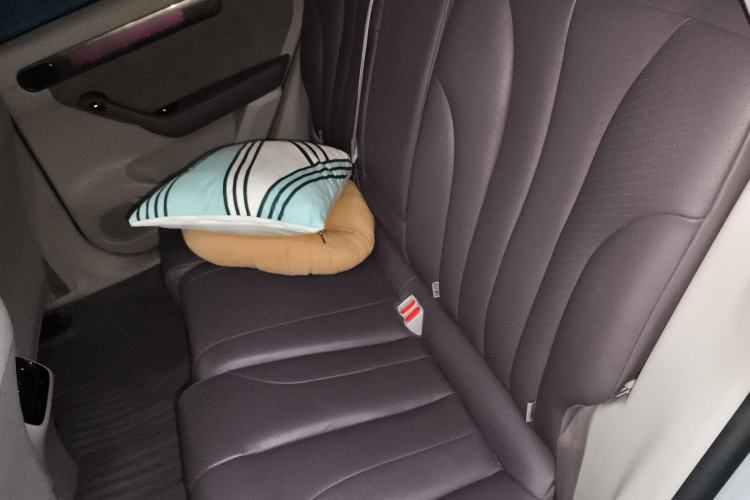 Used Leapmotor C11 2021 Performance Edition
