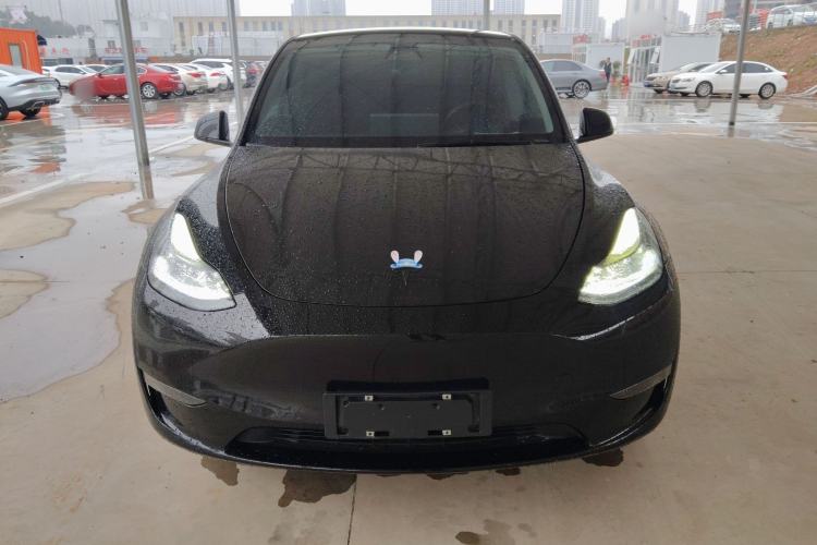 Used Tesla Model Y 2021 Long-Range All-Wheel-Drive Version 3D7
