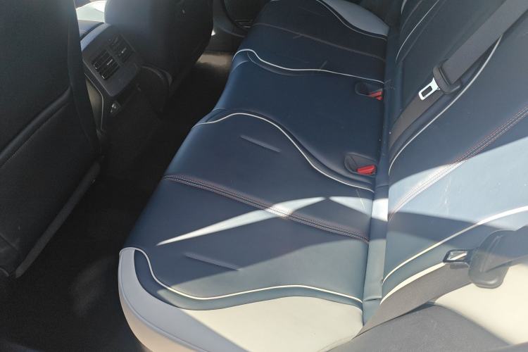 Used BYD Qin PLUS 2021 DM-i 120KM Prestige Model Left Rear Seat