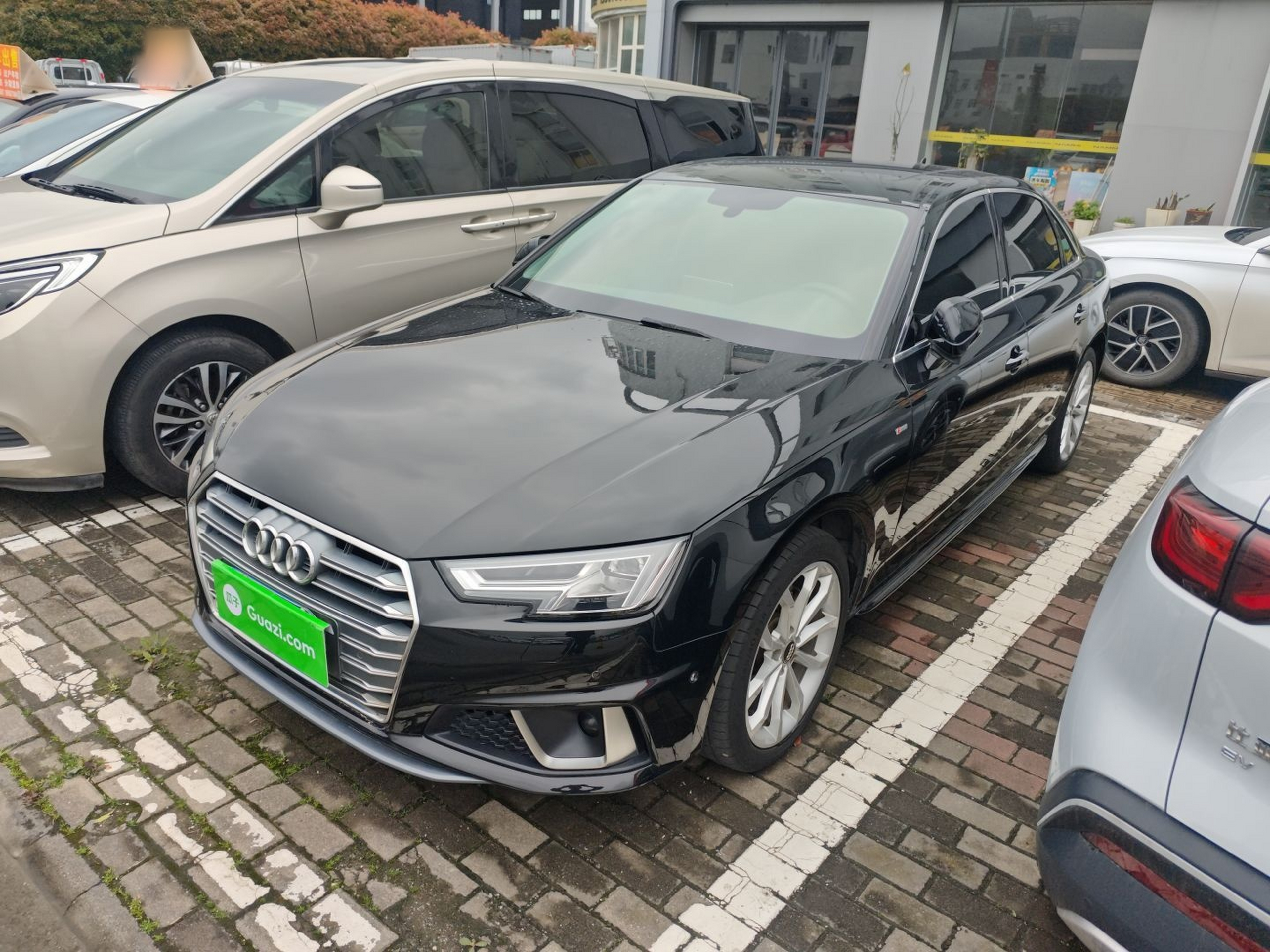 Parte inferior delantera