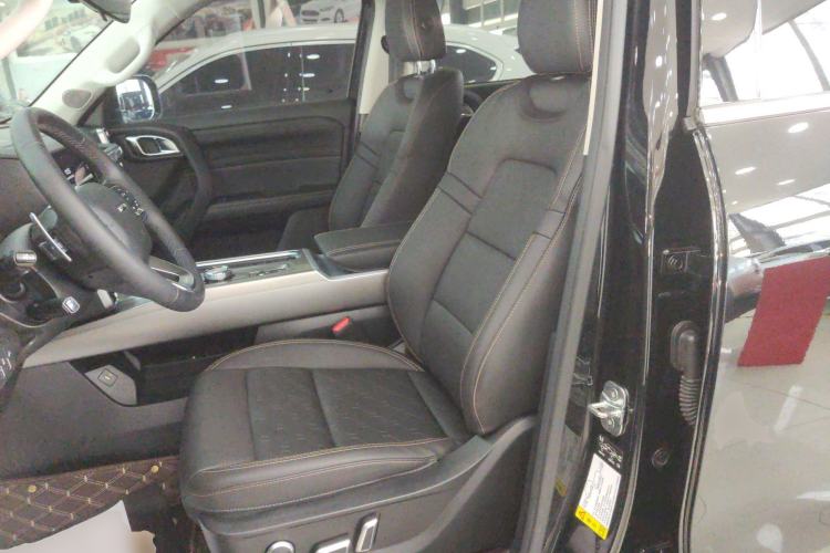 Used Haval DARGO 2024 2.0T DCT Chinese Rural Dog Edition
