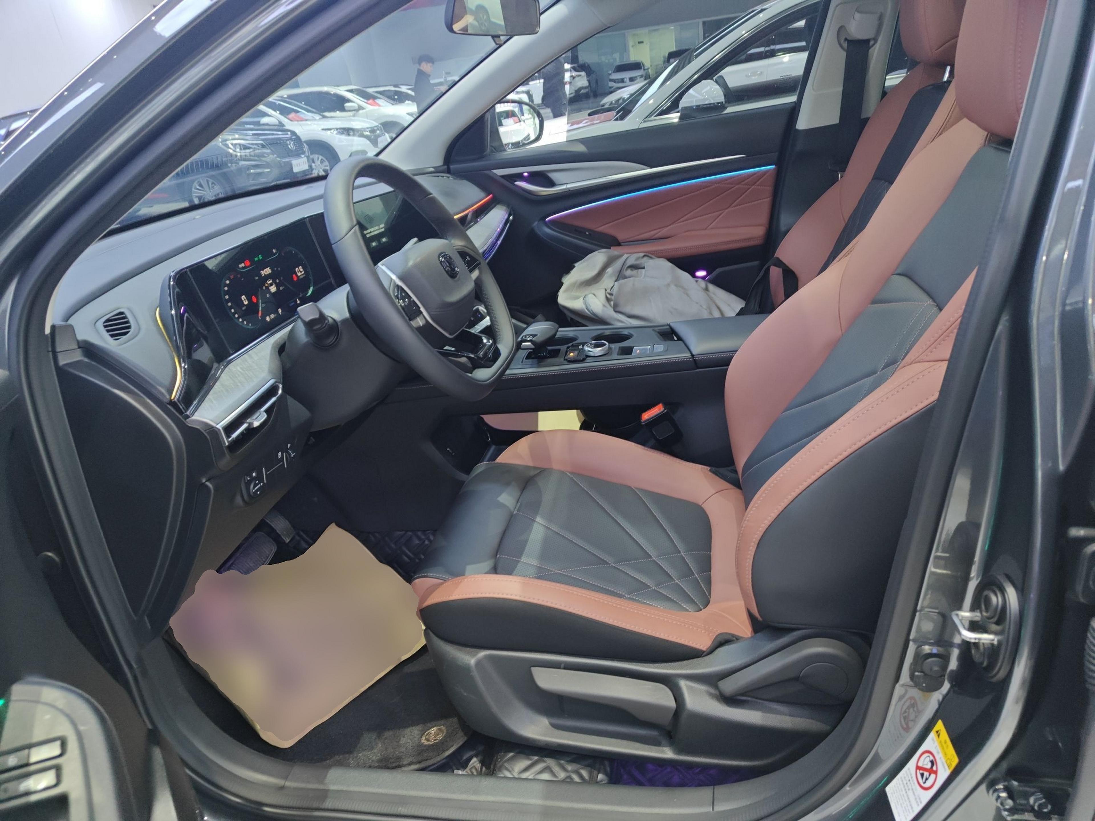 Interior delantero