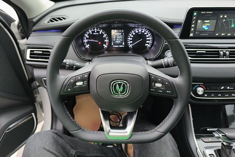 Used Changan Ruicheng CC 2022 Blue Whale Edition 1.5T DCT Luxury Model
