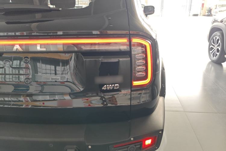 Used Haval DARGO 2024 2.0T DCT Chinese Rural Dog Edition
