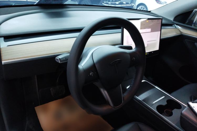 Used Tesla Model Y 2021 Standard Range Rear-Wheel Drive Version
