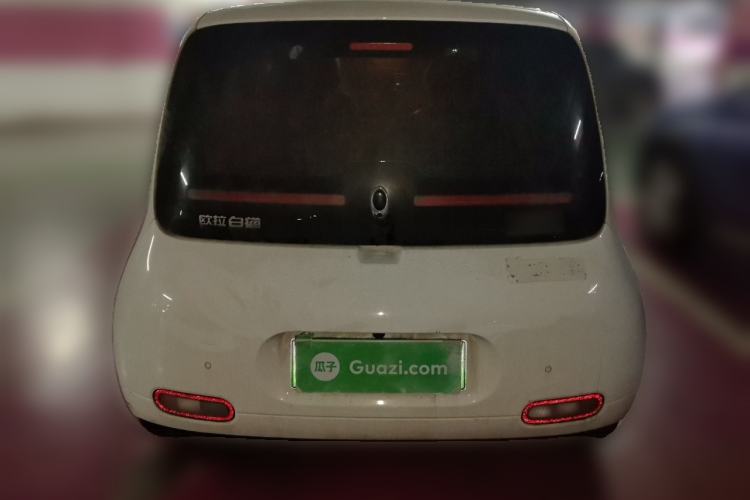 Used ORA White Cat 2020 401 km Flagship Version Rear