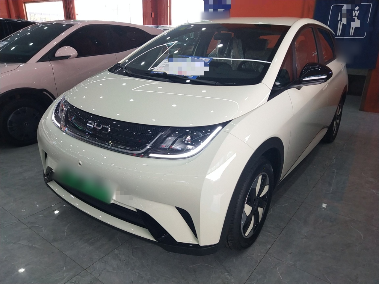 Parte inferior delantera