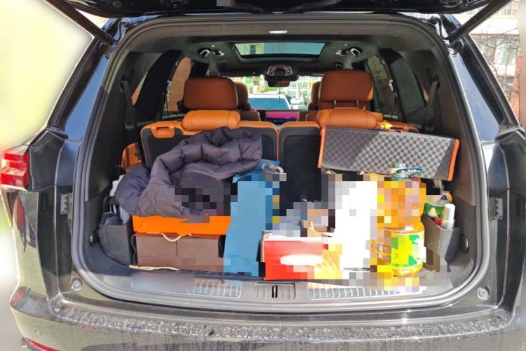 Used Wey Lanshan 2023 Four-Wheel Drive Ultra-Long Range Version
