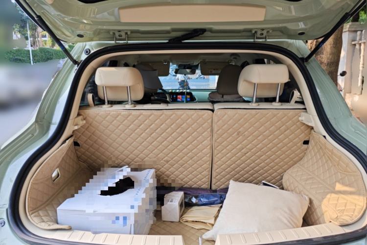 Used ORA Good Cat 2024 401 km Luxury Version Trunk