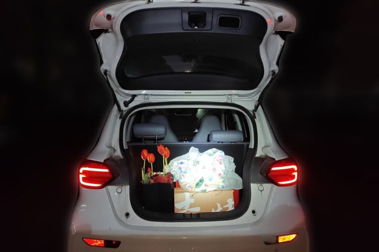 Used Leapmotor T03 2021 400 Comfort Edition
