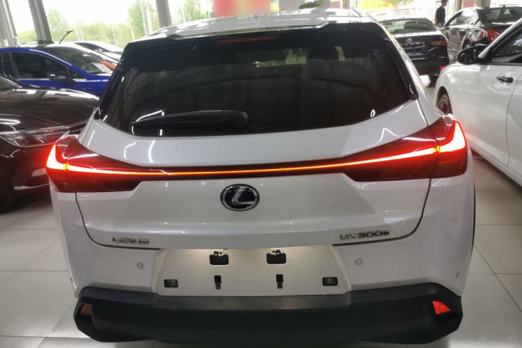 Used Lexus UX New Energy 2020 300e Pure·Enjoy Edition Rear