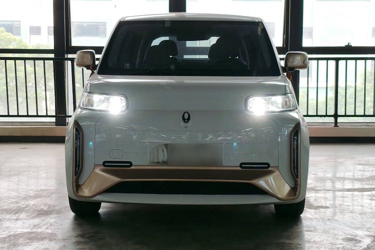 Used ORA White Cat 2022 Xiaoyue Mao Edition 360 km Luxury Model Lithium NMC Front