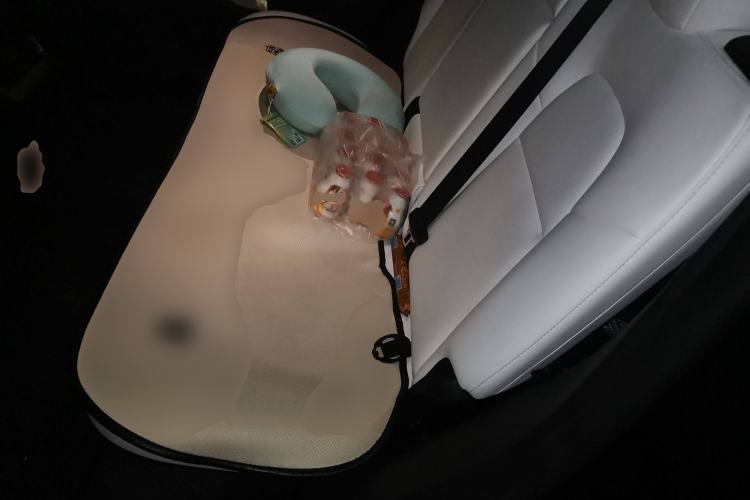 Used Tesla Model Y 2022 Revised Version Long-Range All-Wheel Drive Left Rear Seat