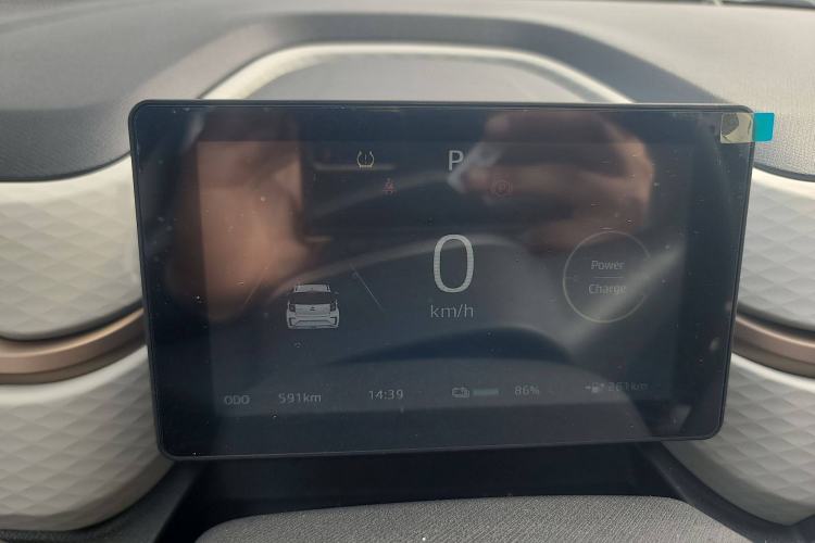 Used SOL E10X 2022 Flower Fairy Design Dandelion