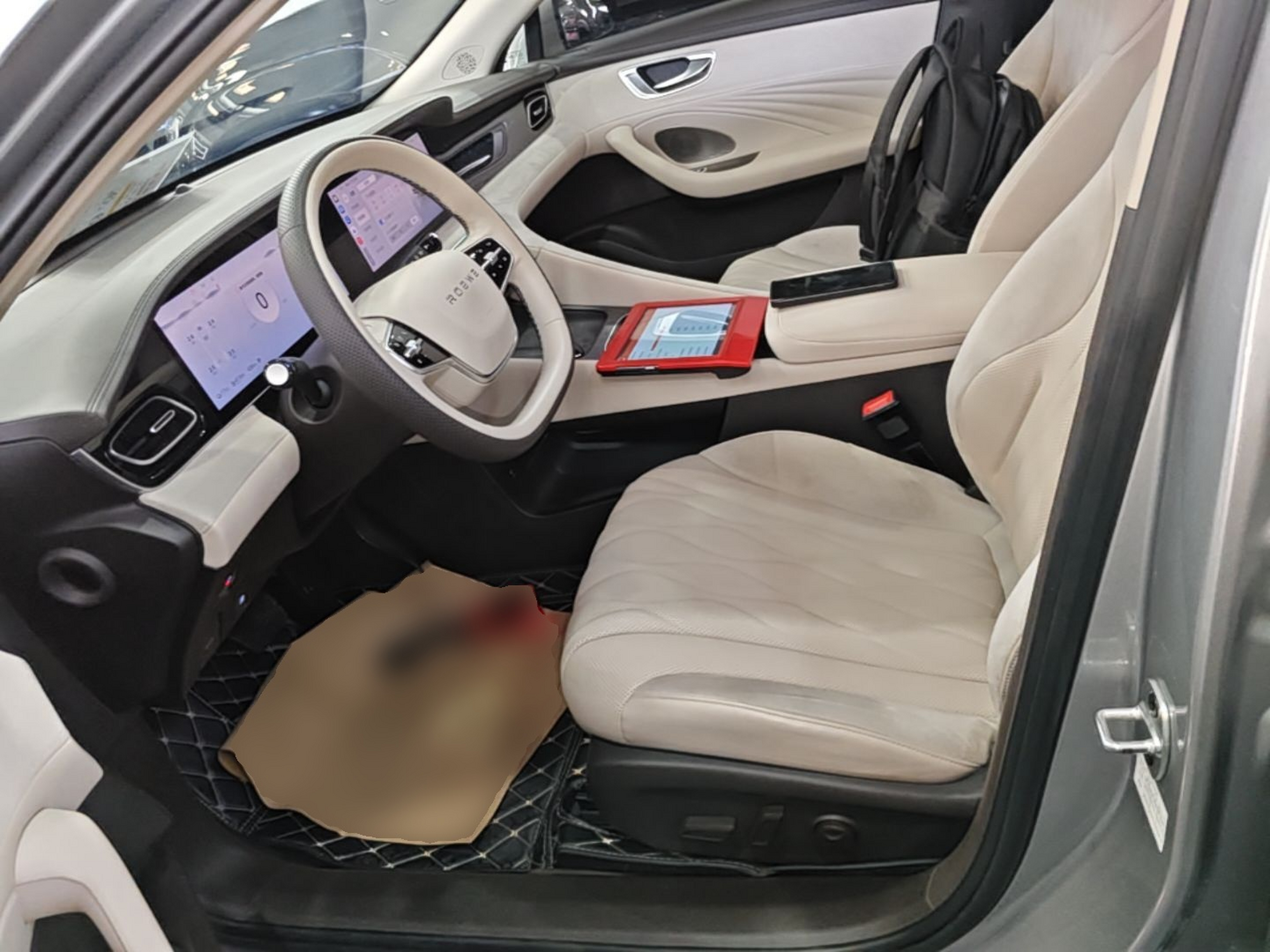 Interior delantero