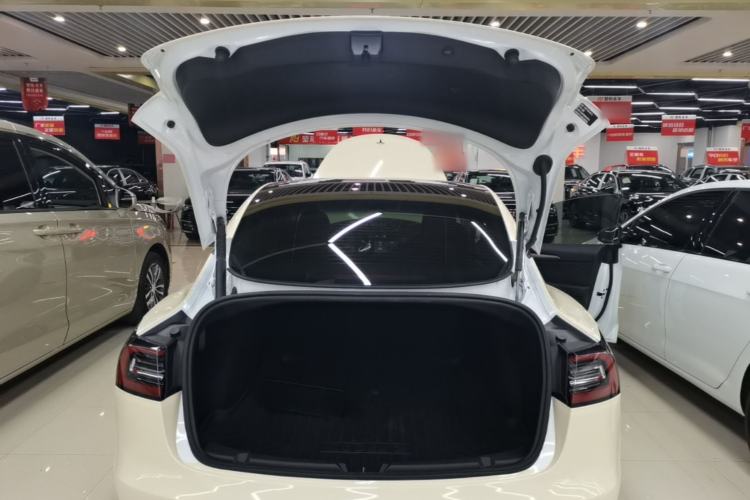 Used Tesla Model 3 2021 Standard Range Rear-Wheel Drive Upgraded Version 3D6