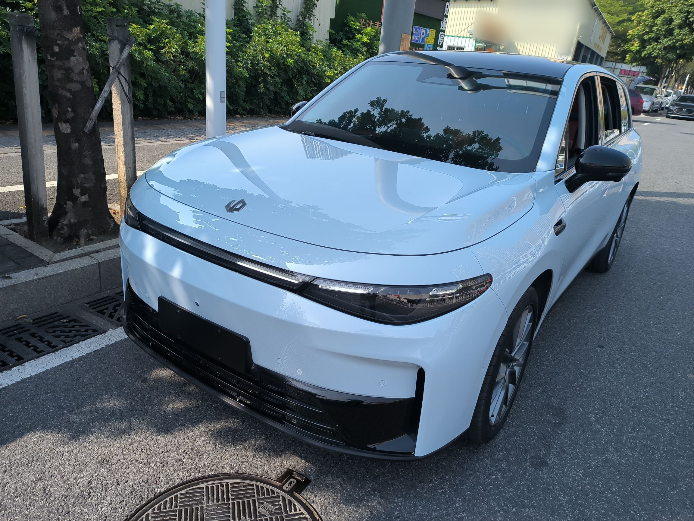 Parte inferior delantera